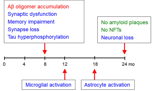図6.Osaka変異Tgマウスの脳病理