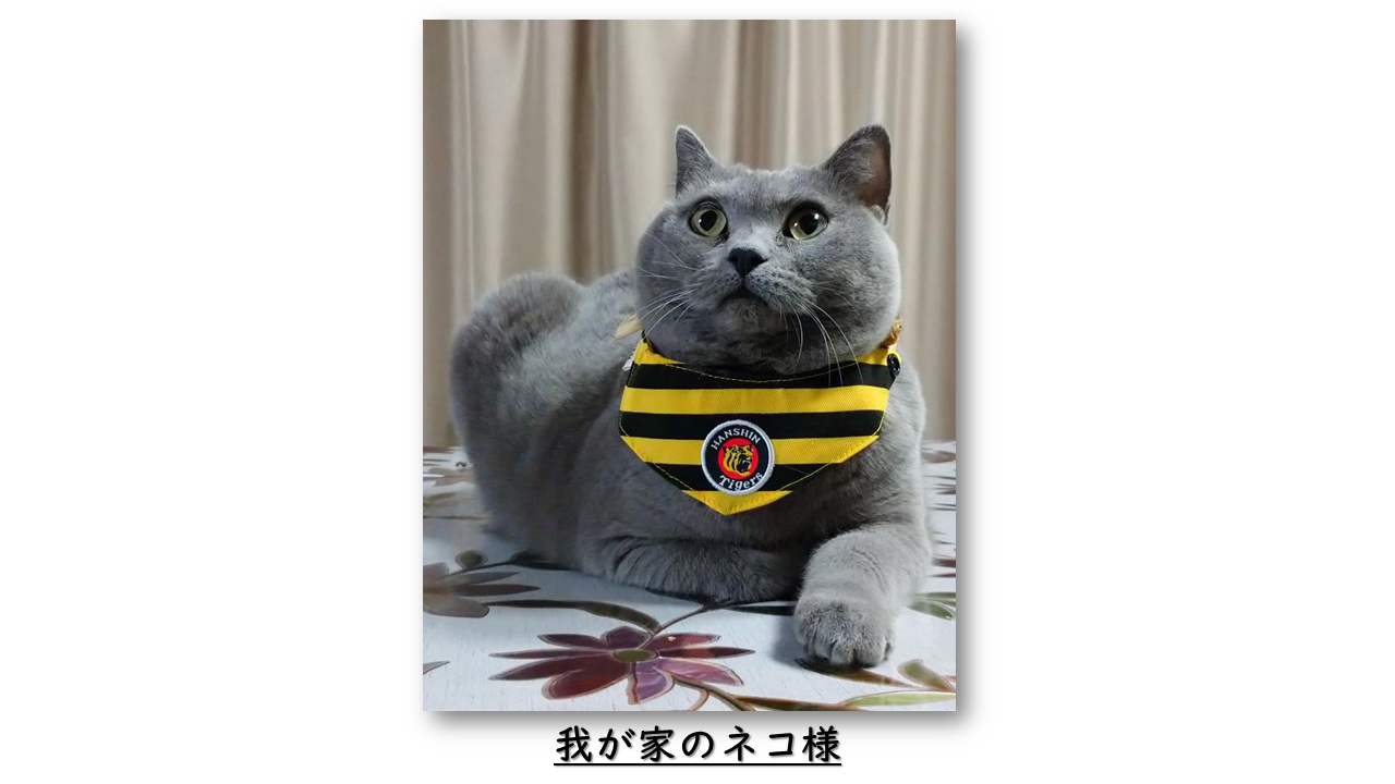 スライド1