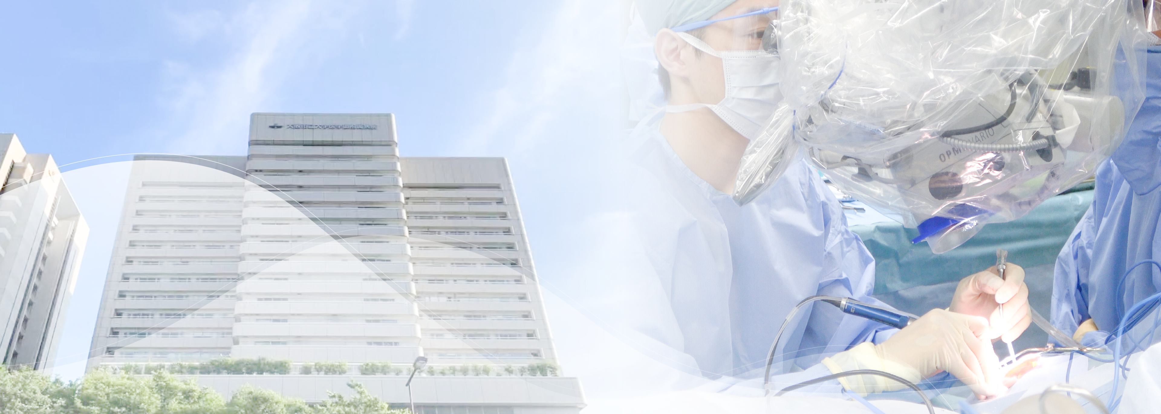 耳鼻咽喉科・頭頸部外科学