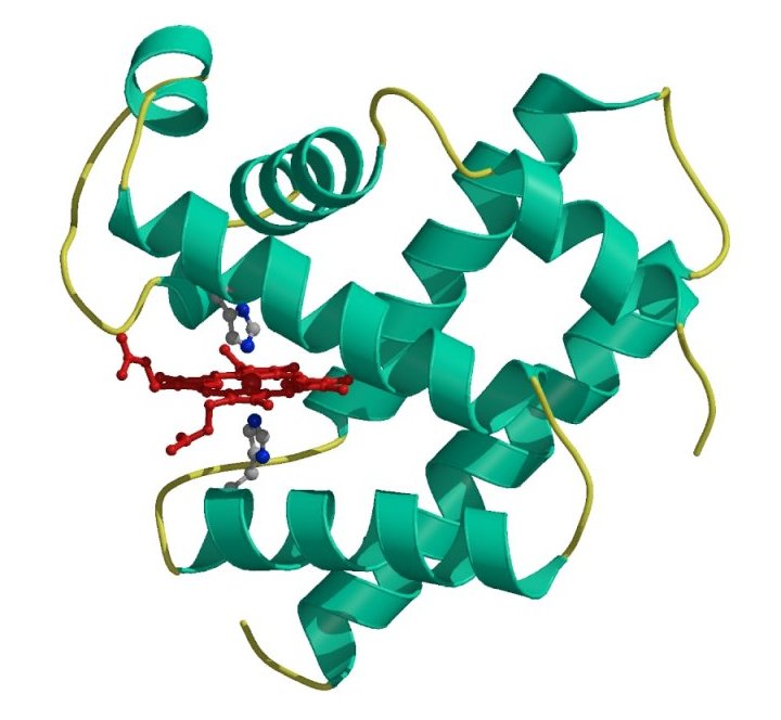 photo-zouki-n-hepatology-01