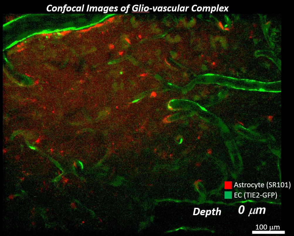 photo-seishoku-neurology-08