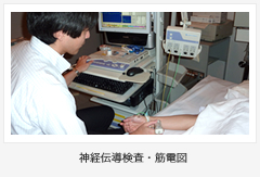 photo-seishoku-neurology-group-04