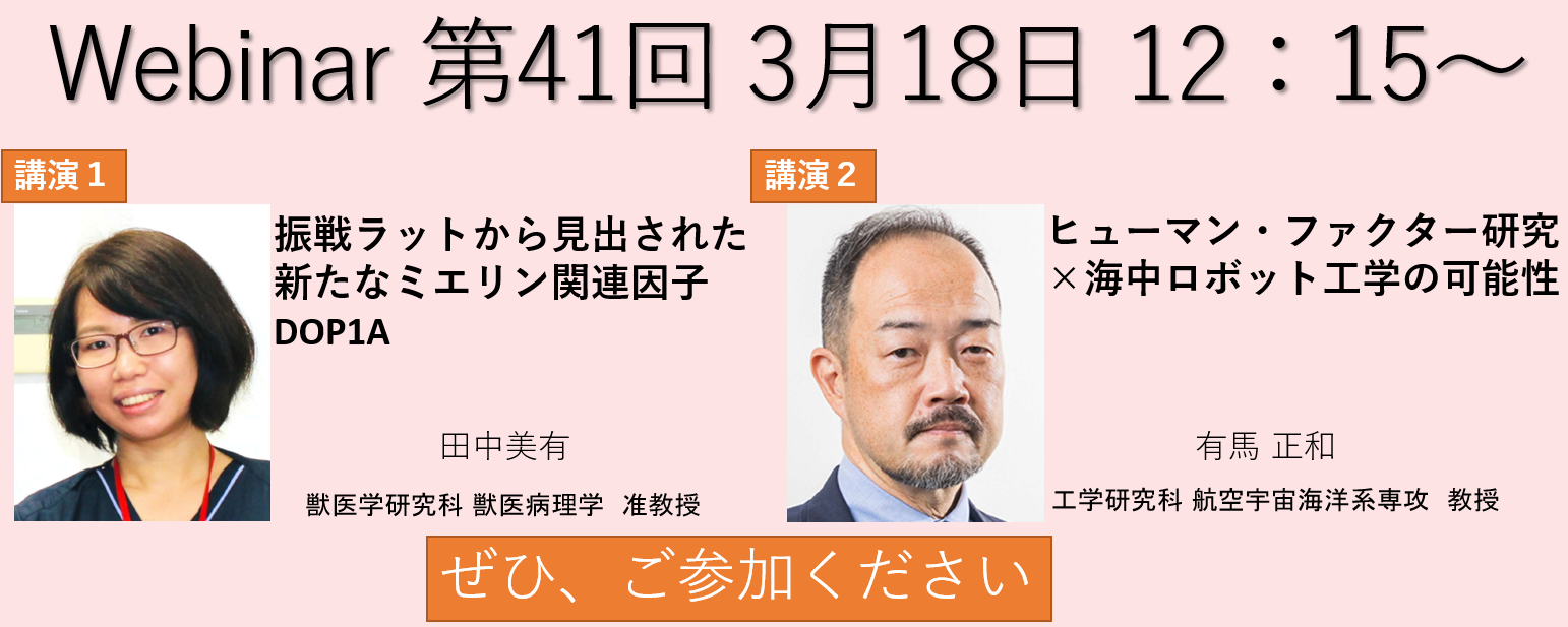 Webinarトップ41