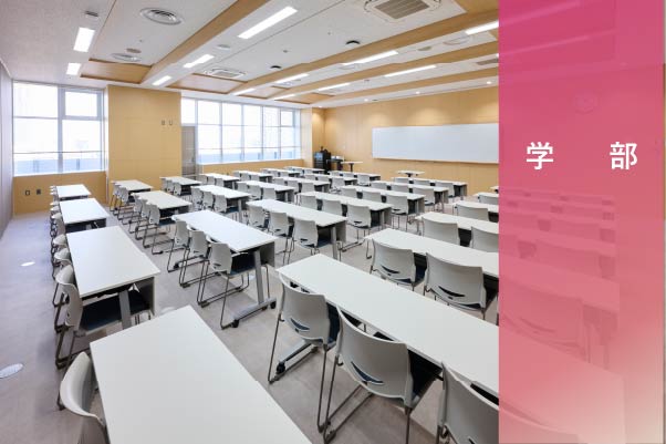 学部