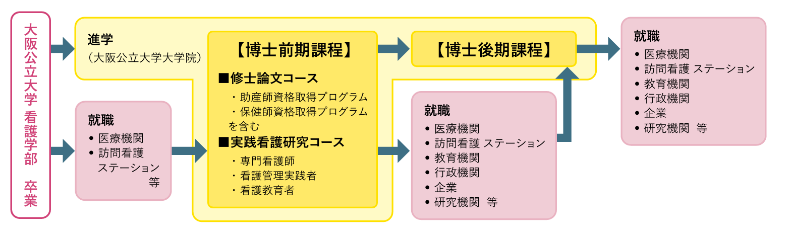 学部（看護師国家試験－就職）