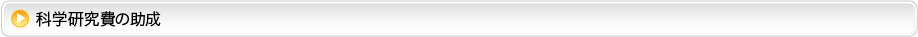 科学研究費の助成