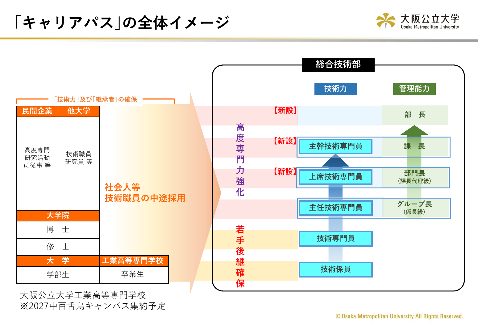キャリアパスの全体イメージ