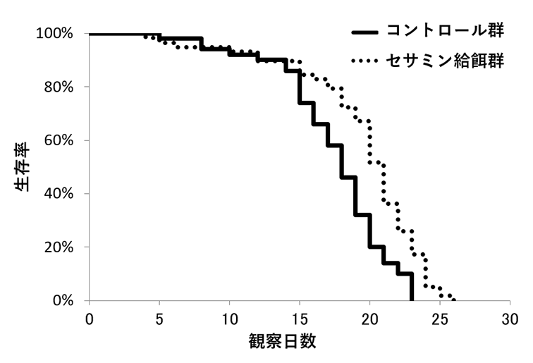 nakadai_image02