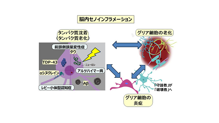 omuom_higuchi_1-1