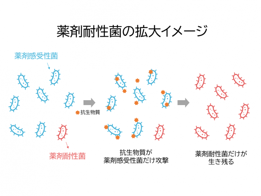 omuomyasugi_taiseikin