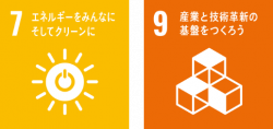 sdgs28