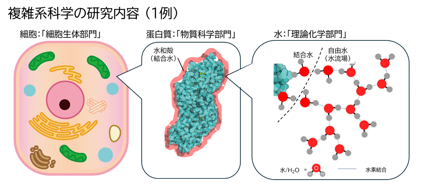 Institute of Complex Systems Science-2