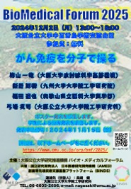 BMF25poster