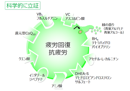 科学的に立証_3