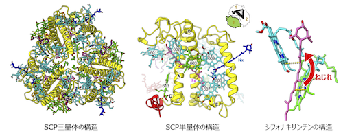 cryo-EM_setumei