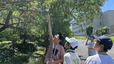 セミの抜け殻1-04