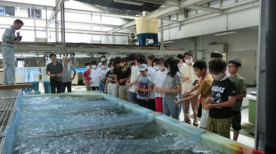 20230818_水産センター見学会07