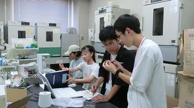 20240813探3④セミの抜け殻 (16)