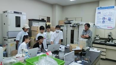 20240813探3④セミの抜け殻 (24)