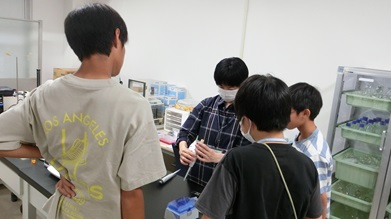 20250807ブラウン_01