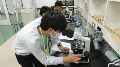 2026本事業_基礎実験① 