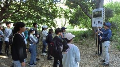 20260509_植物園見学03