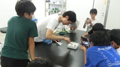 20260727_超伝導02-6