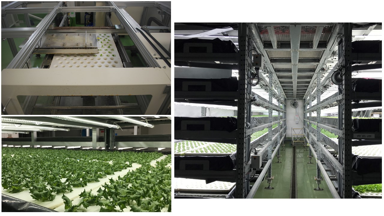 C22transplanting machine&nursery shelves