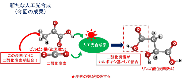 20180903-02amao