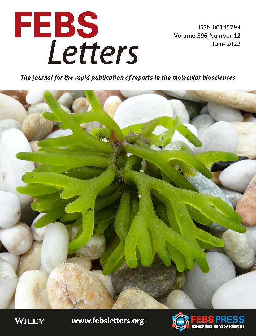 FEBS_Letters-2022-FrontCover1