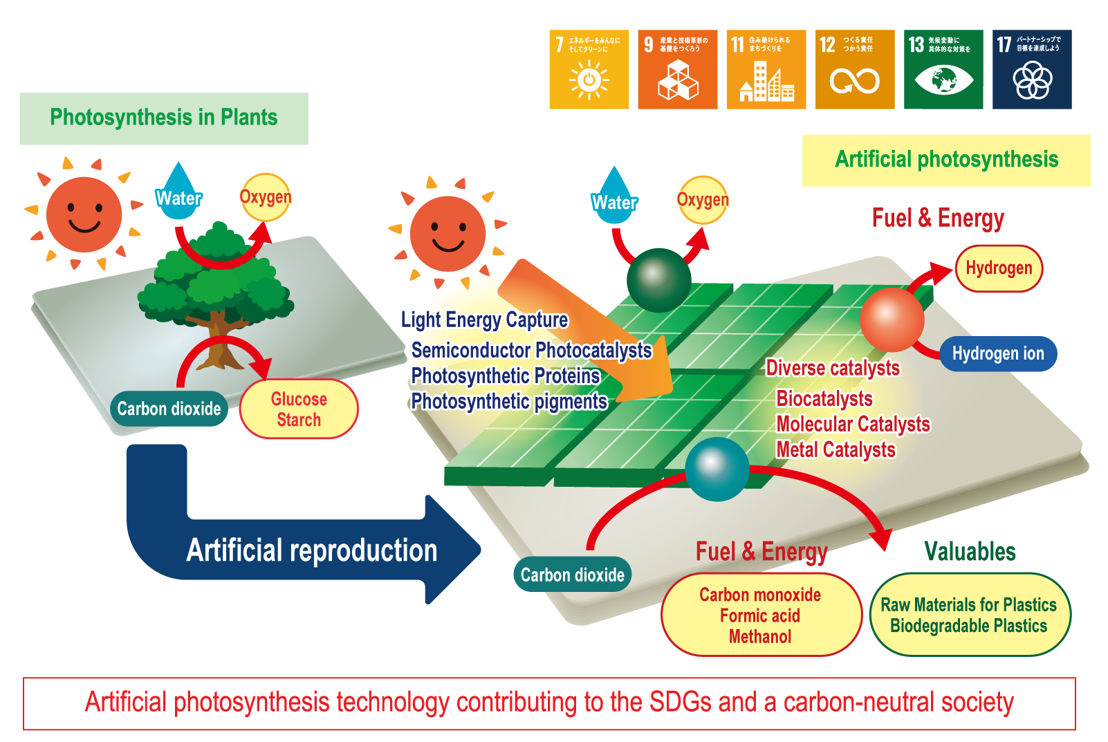 Schematic diagram of research areas