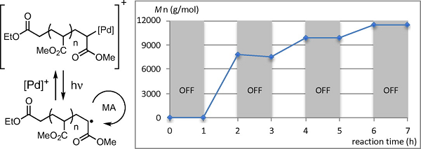 Bull Soc Chem Jpn (BCSJ Award Article) 2022 95 1532-1536 small px