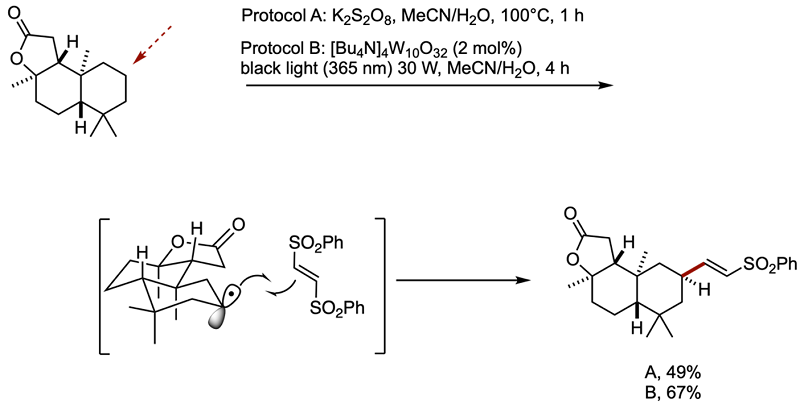 CH alkenylation small px