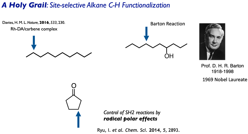 CH functionalization