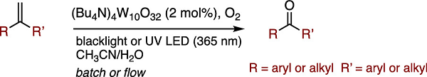 J Org Chem 2022 in press photo small px