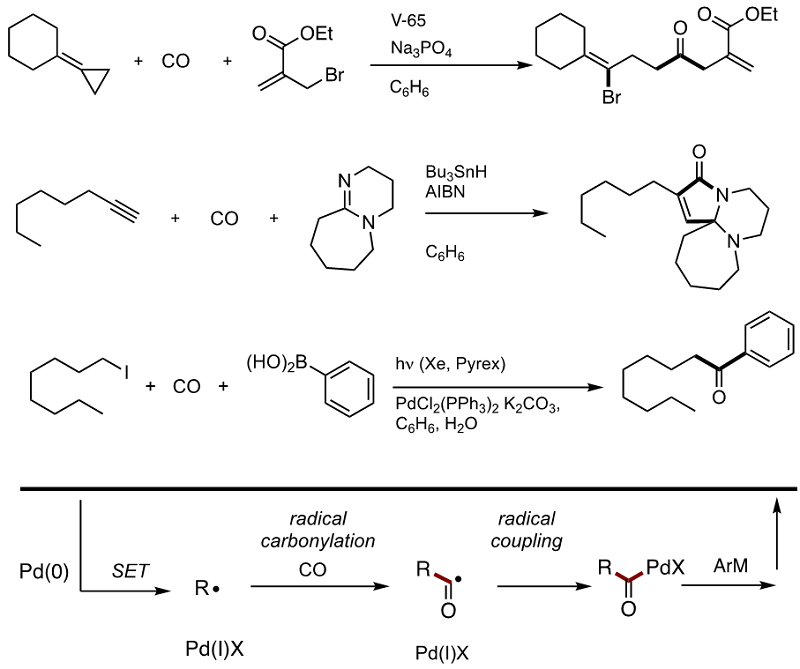 calbonylation scheme2