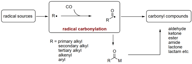 carbonylation scheme1 