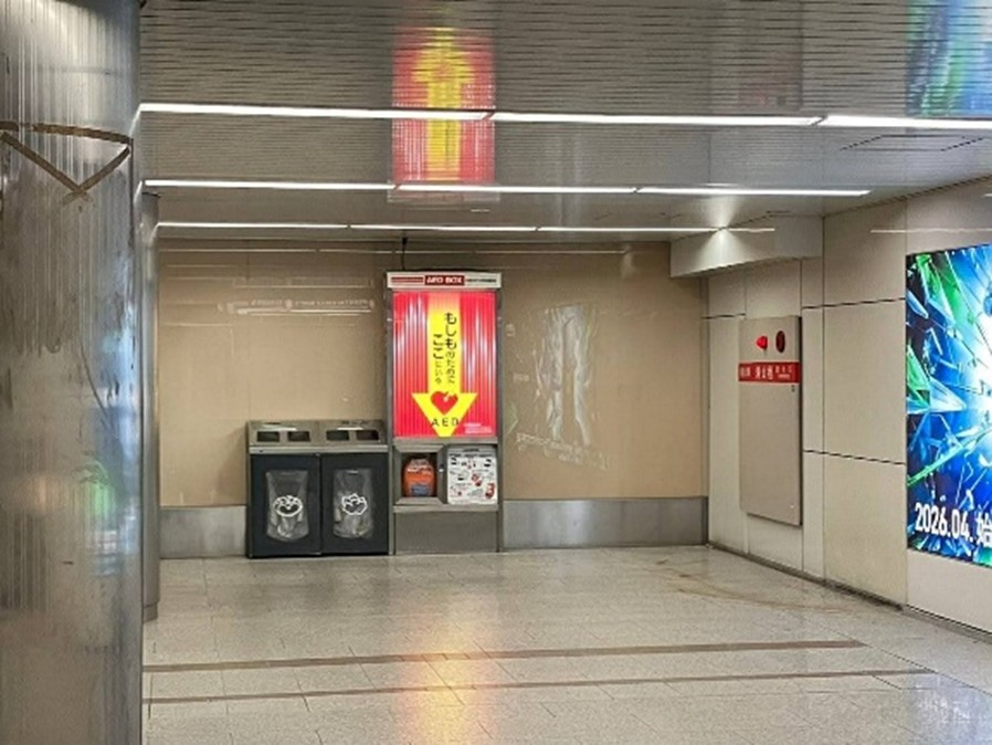 IMG_2494 - コピー