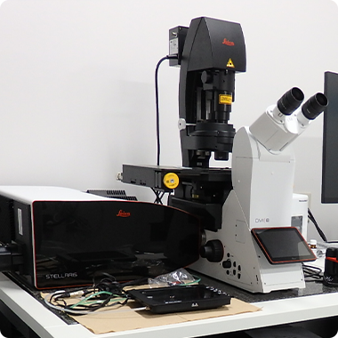 超解像共焦点レーザー顕微鏡