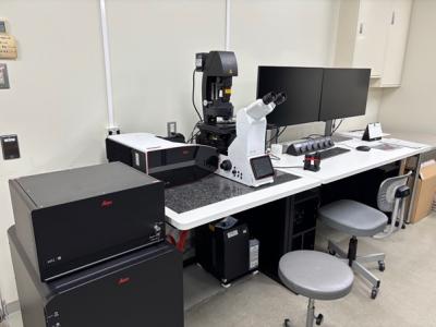 共焦点レーザー顕微鏡システム