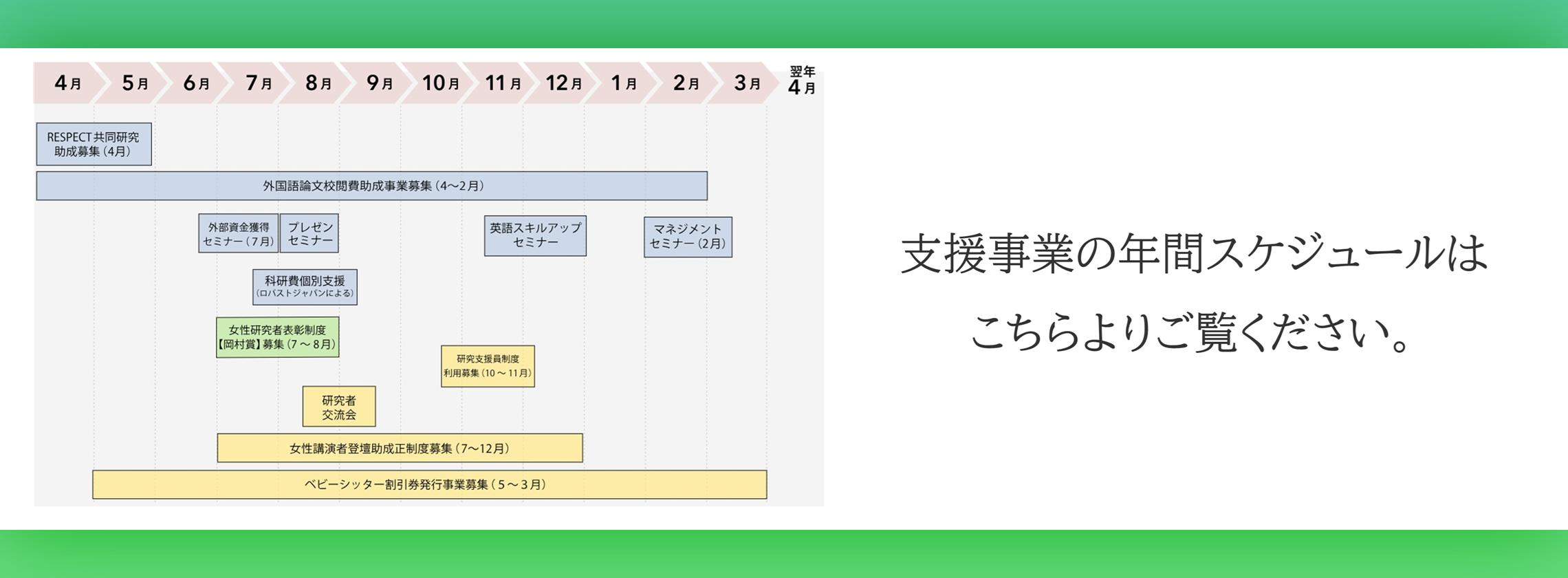 年間スケジュール