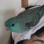 安藤写真-150x150