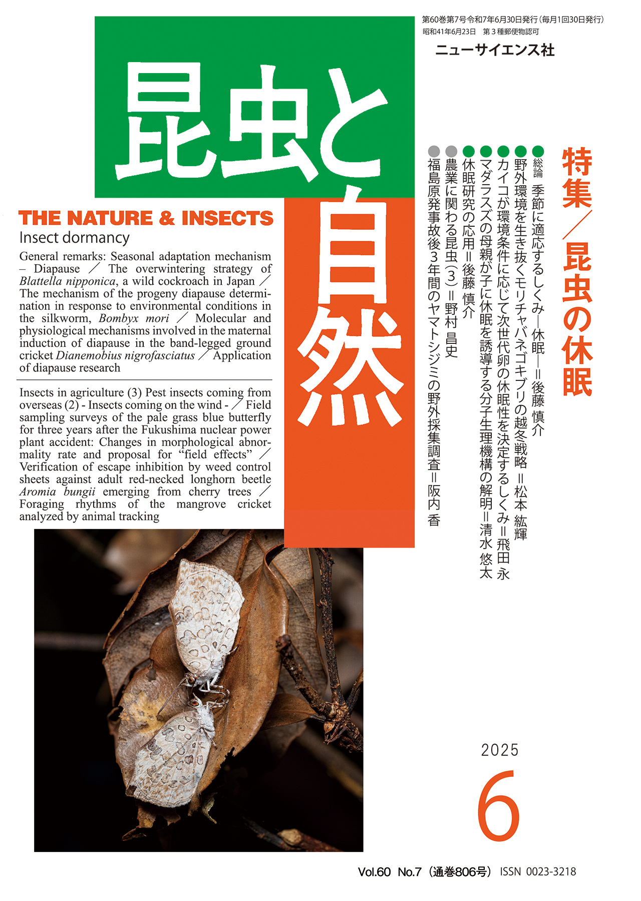 insect2506
