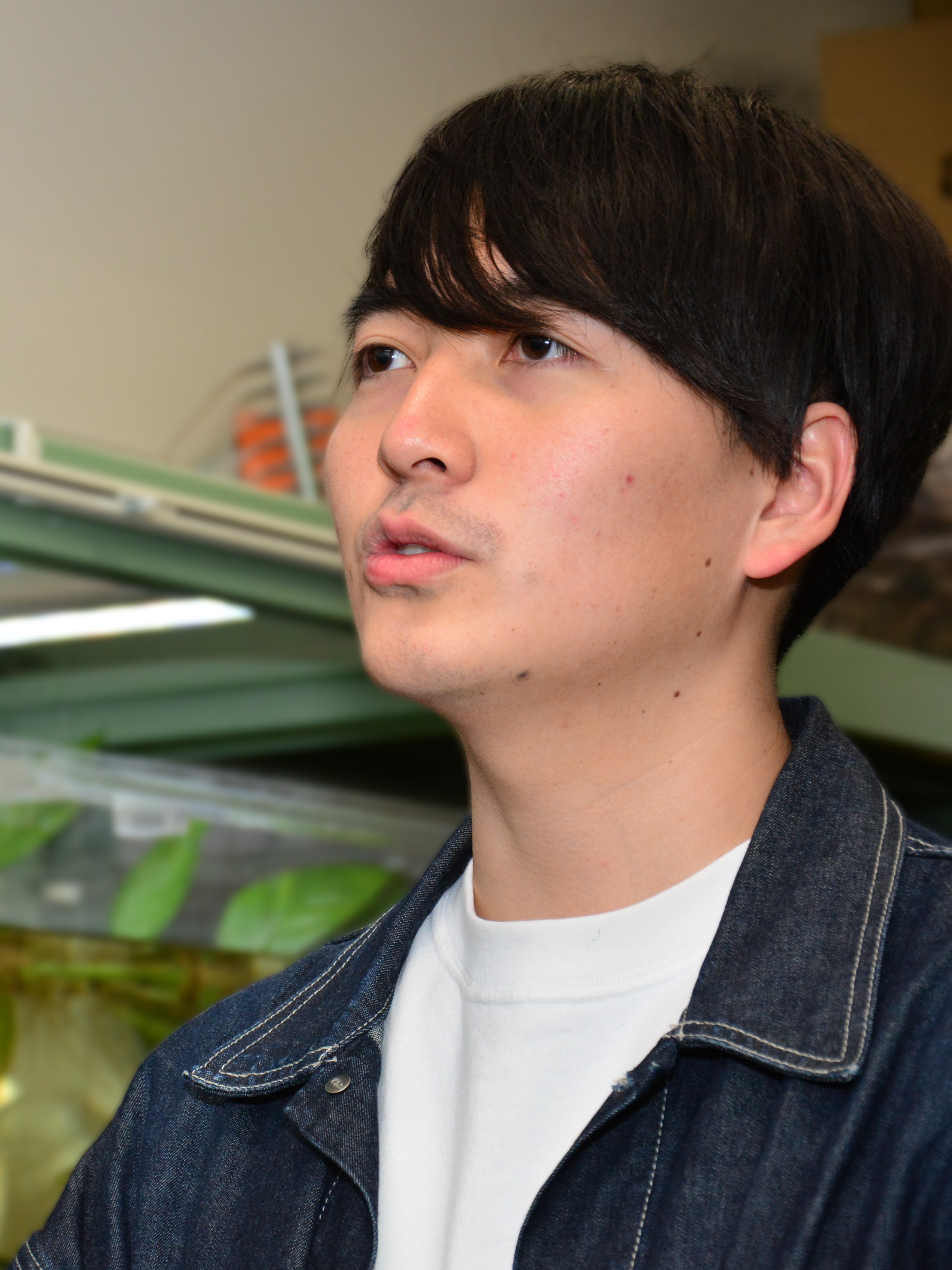 左の画像の説明