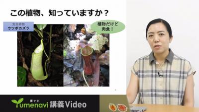 yumenavi_takeuchi