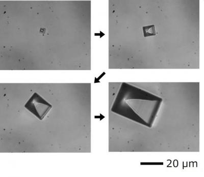 perovskite2