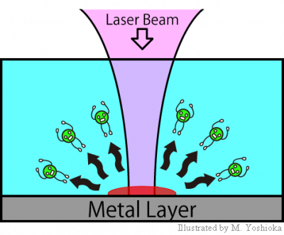 thermo