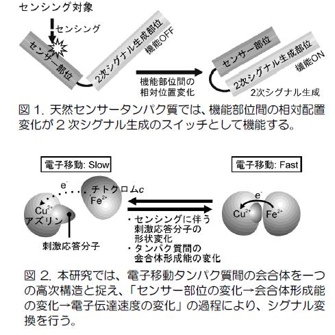 中島1-1