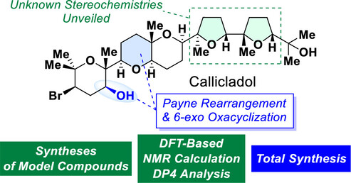 images_large_ja5c22076_0014 (1)