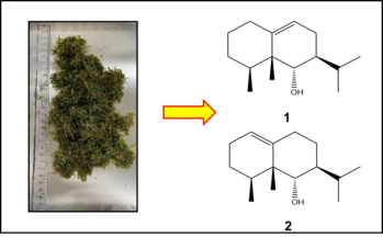 Chem.%20Biodivers.%20Graphical%20Illustration.png